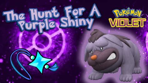 Shiny Hunting Purple Shinies WITH Shiny Charm! Pokemon Scarlet and ...