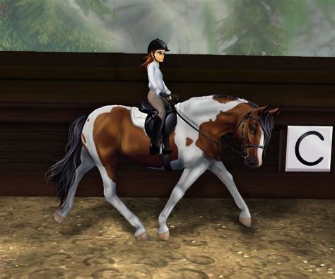 Dressage lesson with Hilton | Star Stable Online Amino