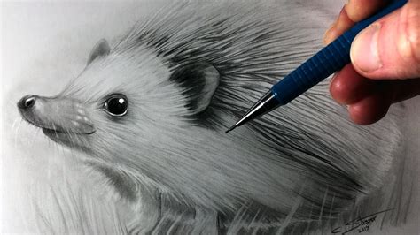 How to Draw a Hedgehog - YouTube