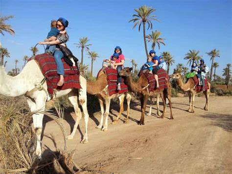 Marrakech : balade en chameau dans la palmeraie | GetYourGuide