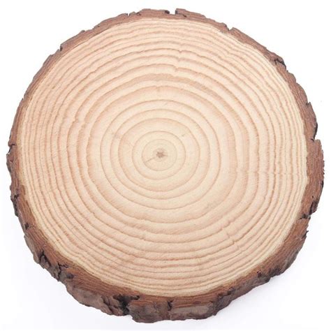 Fuhaieec Wood Slices Natural Unfinshed Round Pine Wood Slabs,7'' to 8'',4 Pack,Large Rustic Wood ...