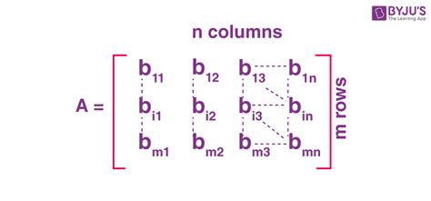 Singular Matrix (Definition, Types, Properties and Examples)