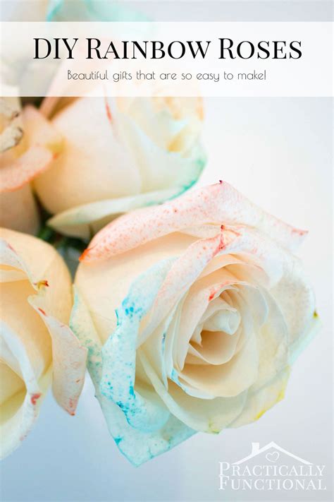 DIY Rainbow Roses