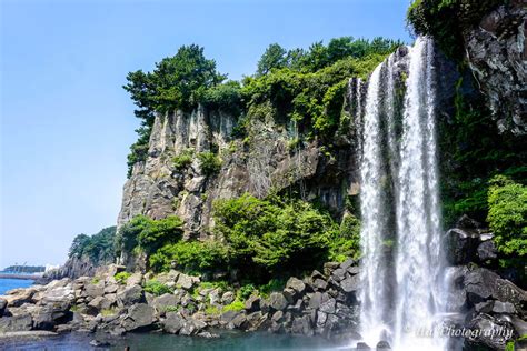 Jeongbang Falls Jeju Island: A Complete Guide | Expatolife