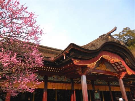 Experience Fukuoka's rich history and tradition in Dazaifu