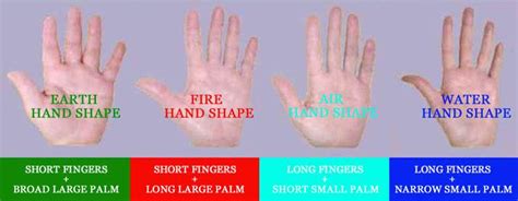 Hand shape linked with Extraversion!