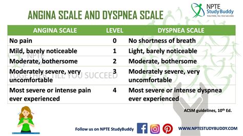 Angina and dyspnea scale | Physical therapy student, Doctor of physical therapy, Nursing mnemonics