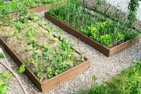 How To Mulch a Vegetable Garden - Smart Garden and Home