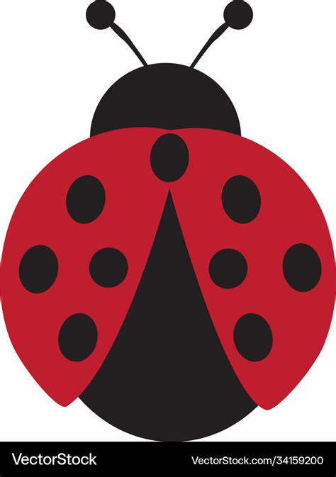 A ladybug Royalty Free Vector Image - VectorStock