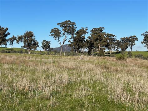 Rural & Farming For Sale in C/a 116D Redgum Road, Broadford VIC 3658 | Commercial Real Estate