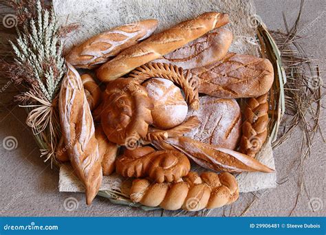 Bread on display stock image. Image of loaves, loaf, bread - 29906481