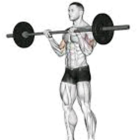 Barbell Wrist Curls by Joseph Martinez - Exercise How-to - Skimble