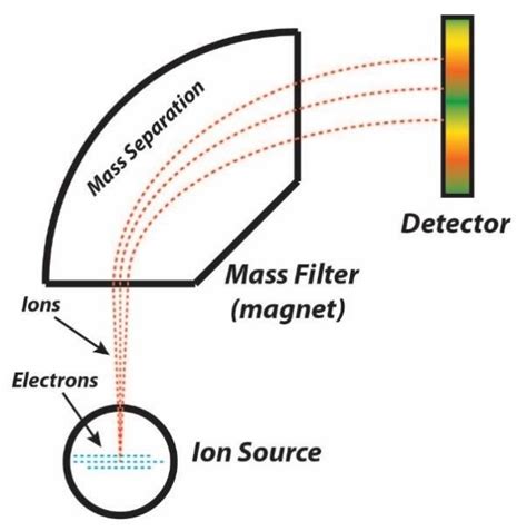 14: Schematic diagram of a mass spectrometer. | Download Scientific Diagram