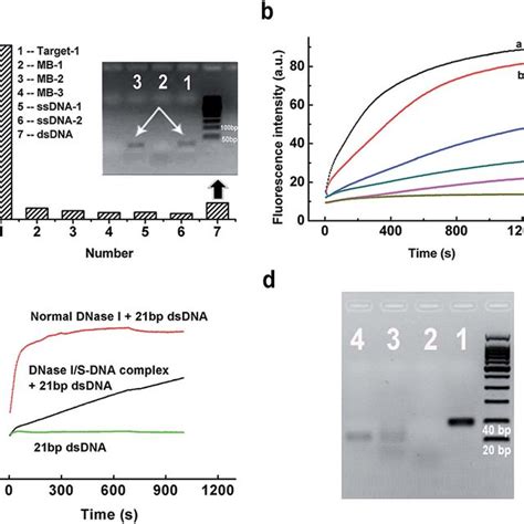 (a) Selectivity of the DNase I/S-DNA-1 complex to Target-1 over six ...