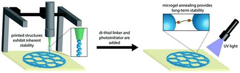 Micromachines | Free Full-Text | Engineered Microgels—Their Manufacturing and Biomedical ...