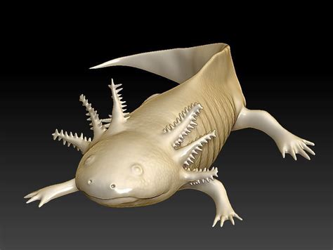 Axolotl 3d Print File