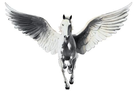 Tristar Pegasus 1992 Png By Jayreganwright2005 D by mcnfhfhfhhfhfhc on DeviantArt