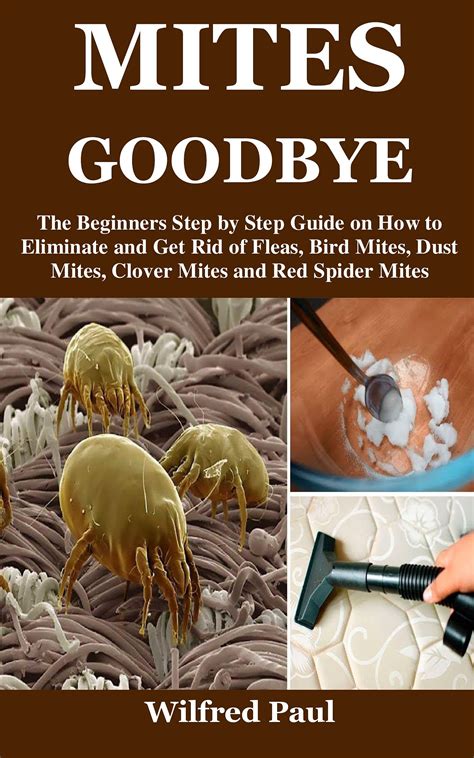 MITES GOODBYE: The Beginners Step by Step Guide on How to Eliminate and ...