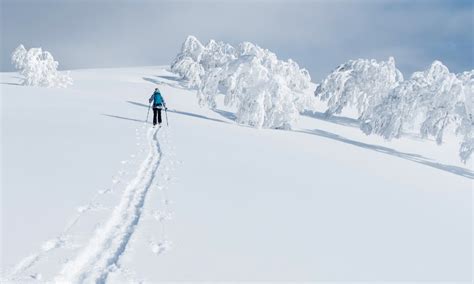 13 Best Ski Resorts In Japan