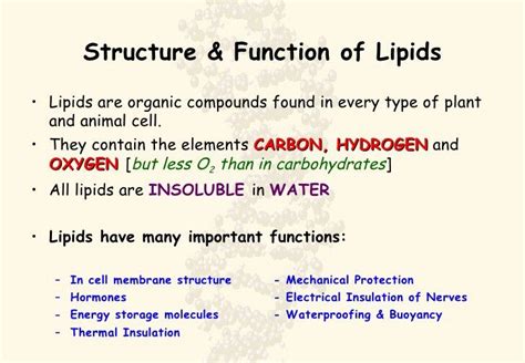 What are the functions of lipids in your body ? | Cell membrane ...