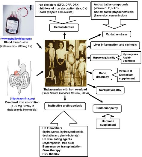 Factor Receptor: Beta Thalassemia Treatment