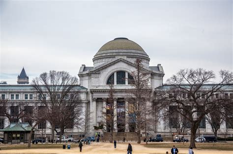 My Musings: Smithsonian Natural History Museum