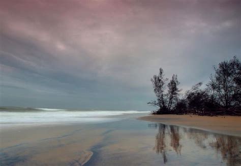 Gahirmatha Beach, Orissa | Beach, Bay of bengal, Outdoor