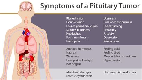 Pituitary Tumor