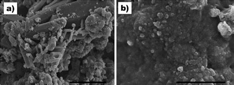 SEM of ceramic powder. a) Ceramic powder. Bar 5 2 m m. b) AIV H7N1... | Download Scientific Diagram