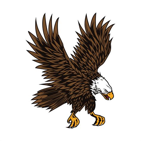 vector illustration of eagle character 13785558 Vector Art at Vecteezy