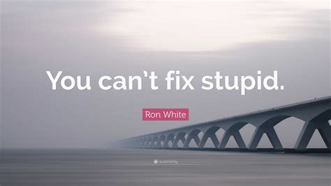 Ron White Quote: “You can’t fix stupid.”