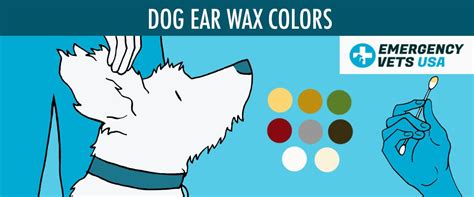 Dog Ear Wax Color Chart - What Does Each Color Mean?