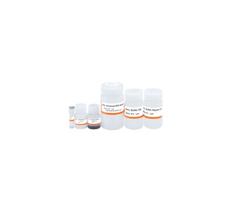 Viral RNA Extraction Kit for Covid 19 - Medproeasy