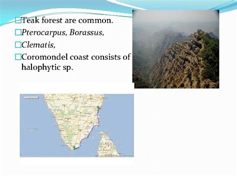 Phytogeographical regions of India Phytogeography is the study