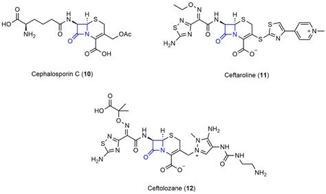 cephalosporin subclass β-lactams. note: the β-lactam moiety is ...