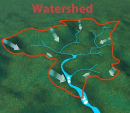 SOL 6.7 Watersheds - Standards