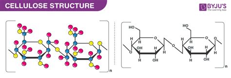 Cellulose (C6H10O5)n - Structure, Molecular Mass, Properties, Uses