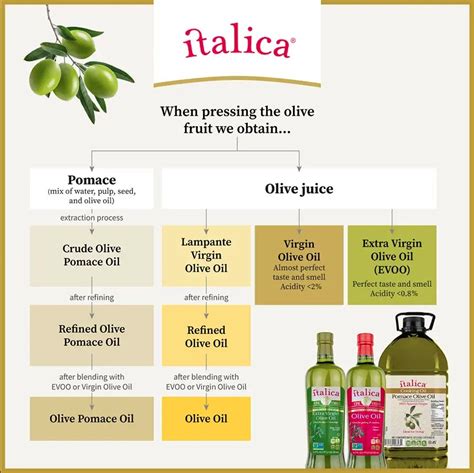 Types of Olive Oil - ITALICA - Organic Extra Virgin Olive Oil