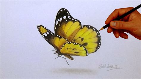 Drawing A Butterfly | Simple And Easy Steps | | Butterfly drawing, Drawings, 3d drawings