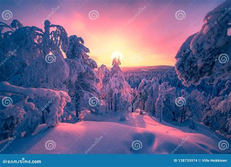 Winter Landscape from Sotkamo, Finland. Stock Photo - Image of lapland, nature: 138735974