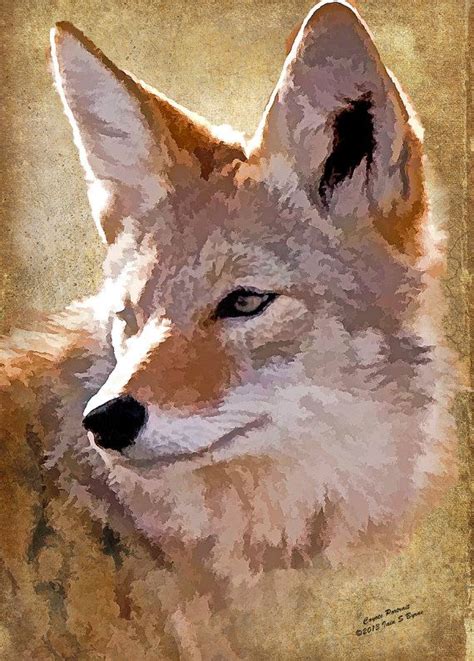 Coyote digital wildlife art fine art photography by IainSByrne, £8.50 ...