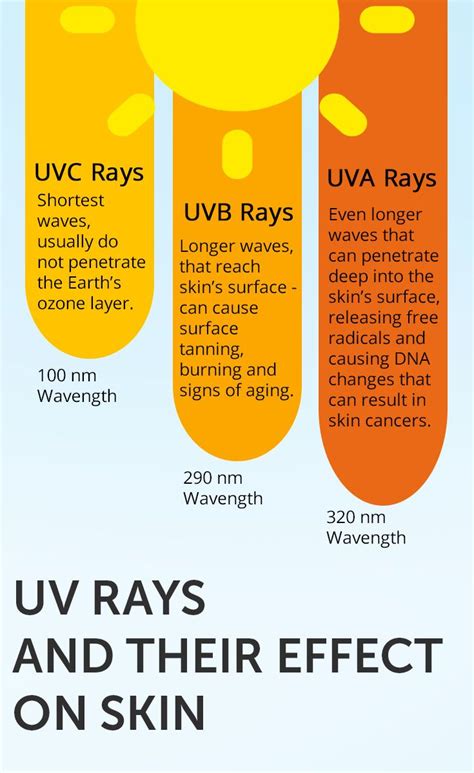 Discover what different types of UV rays do to your skin. Protect your skin against both UVA ...