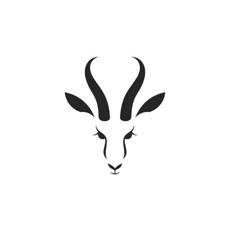 Springbok Illustrations, Royalty-Free Vector Graphics & Clip Art - iStock