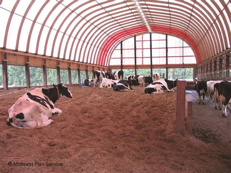 Looking for an alternative shelter to producing dairy cows? Hoop Barns ...