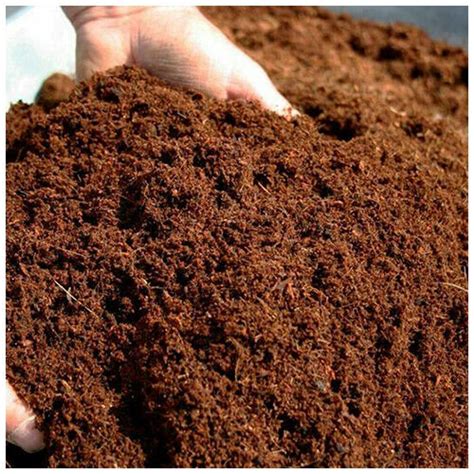 Coco Coir Coco Peat 100% Natural Organic Compost Hydroponic | Etsy