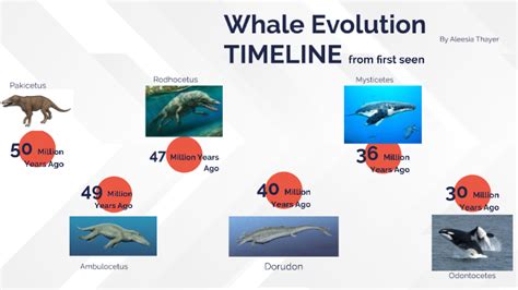 Whale Evolution Timeline by Aleesia Thayer on Prezi