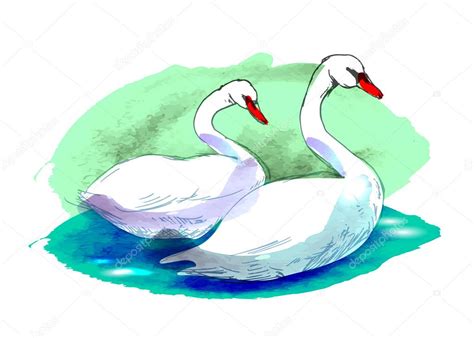 Colored drawing of two swans — Stock Vector © onot #97426694