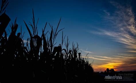 Farm Field Sunset - My Final Photo