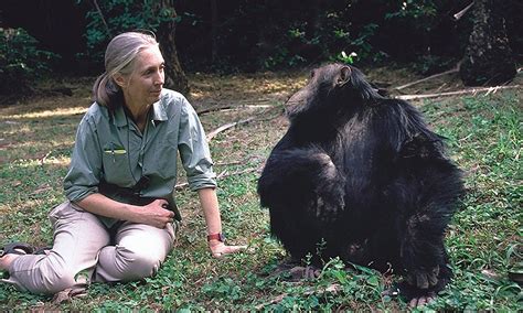 Jungle Jane: Primatologist Jane Goodall on her Wild Life | Tatler Asia