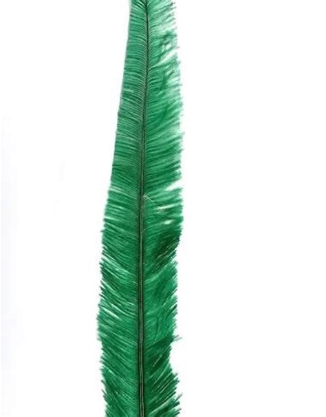 Nandu Feathers 20-25 Inch - Samaroo's Limited